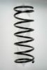 SPIDAN 55607 Coil Spring